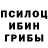 Псилоцибиновые грибы Magic Shrooms TOFIX HOKAGE