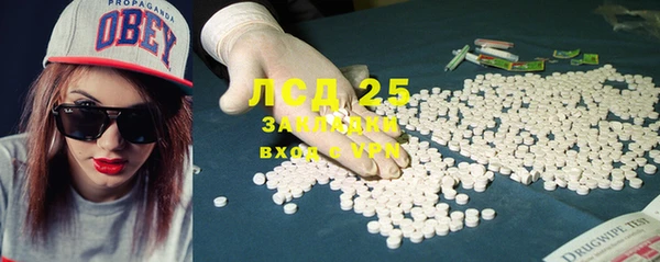 крисы Лагань
