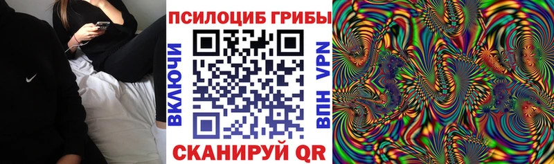 Купить где  Мариинский Посад  Псилоцибиновые грибы GOLDEN TEACHER 